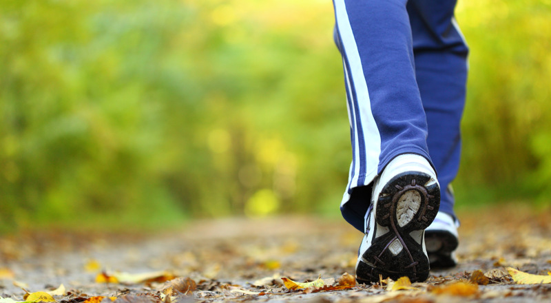 Benen på en person som går på en stig i skogen. Personen har blå träningsbyxor och gymnastikskor. Foto.