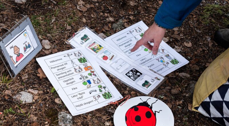 Aktiviteter i skogen för barn med funktionsnedsättning