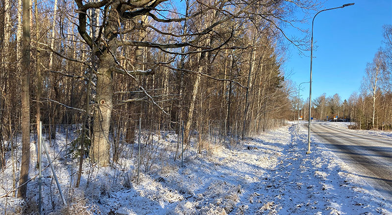 Foto med vintervy längs Hällsätersleden.