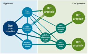 Grafik över vägval efter utbildningen. Grafik.
