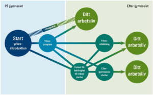 Grafik över vägval efter utbildningen. Grafik.